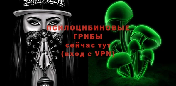 гидропоника Белокуриха