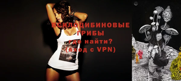 ECSTASY Строитель
